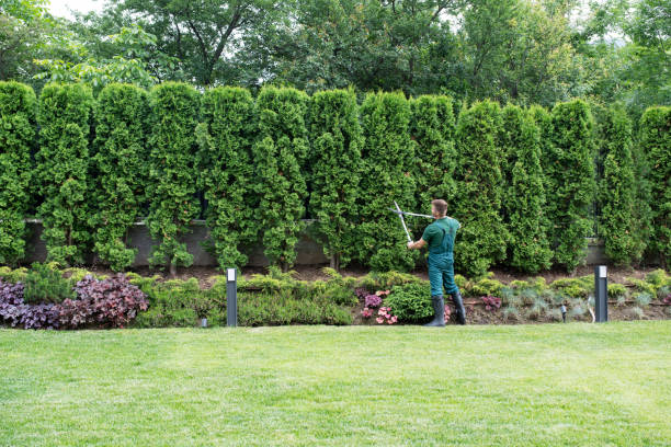 Best Lawn Drainage Solutions  in Freeport, PA